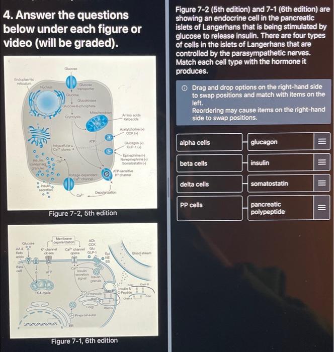 Solved Figure 7-2, 5th edition ATP Insulin secretion signal | Chegg.com