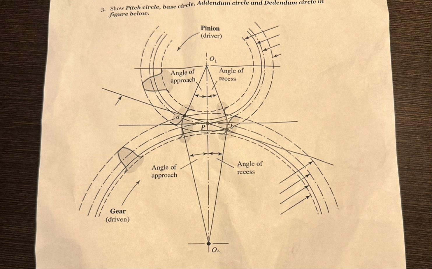 Show Pitch circle, base circle, Addendum circle and | Chegg.com
