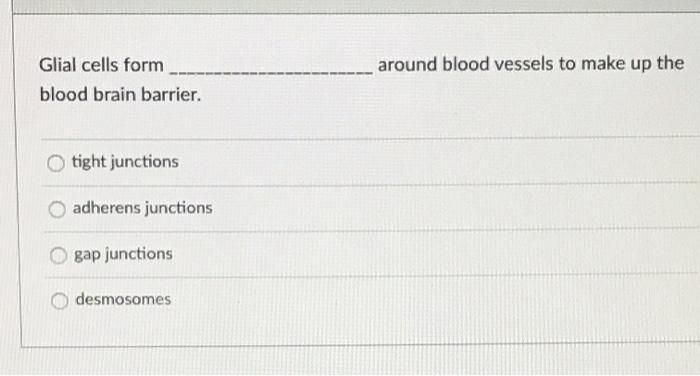 Solved around blood vessels to make up the Glial cells form | Chegg.com