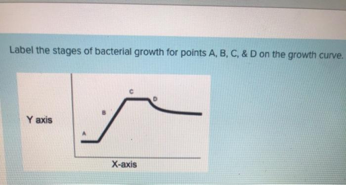 Solved Label the stages of bacterial growth for points A, B, | Chegg.com