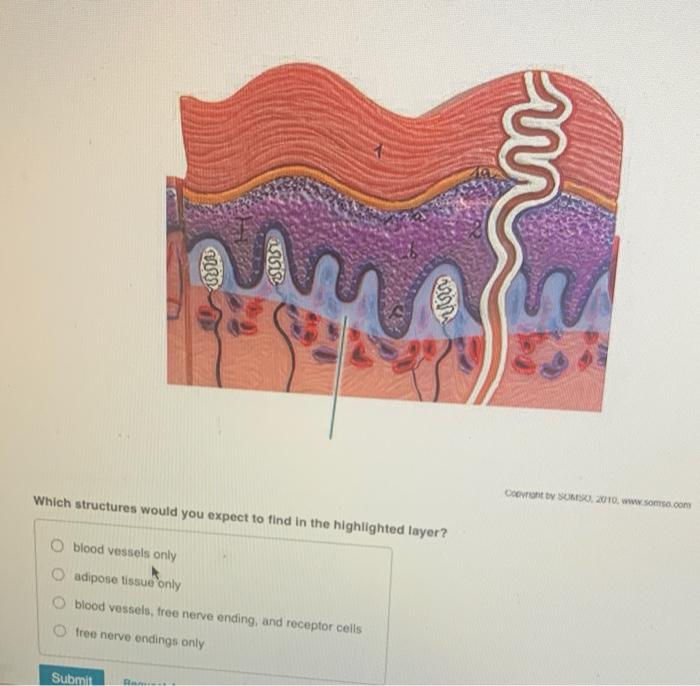 solved-which-structures-would-you-expect-to-find-in-the-chegg