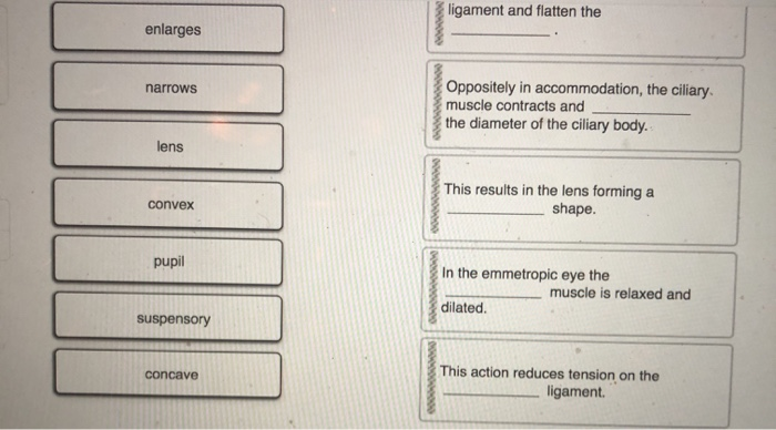 solved-place-a-single-word-into-each-sentence-to-make-it-chegg