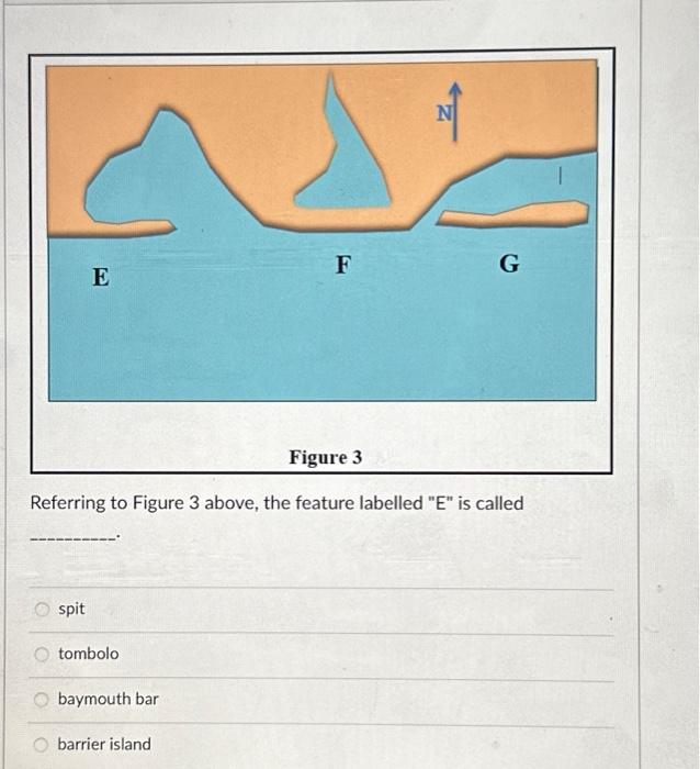 Solved Referring to Figure 3 above, the feature labelled 