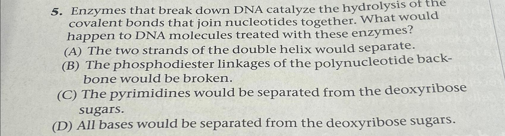 Solved Enzymes that break down DNA catalyze the hydrolysis | Chegg.com