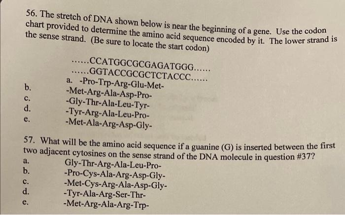 Solved 56. The stretch of DNA shown below is near the | Chegg.com