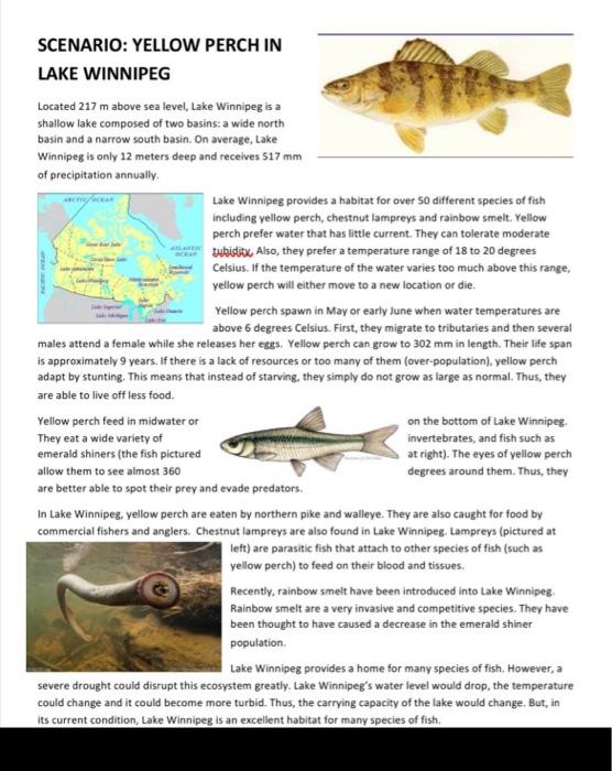 SCENARIO: YELLOW PERCH IN LAKE WINNIPEG RA ALE | Chegg.com