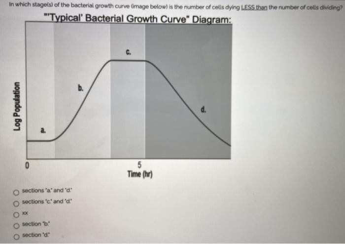 Solved In which stage(s) of the bacterial growth curve image | Chegg.com