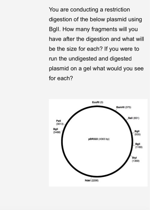 Solved You are conducting a restriction digestion of the | Chegg.com