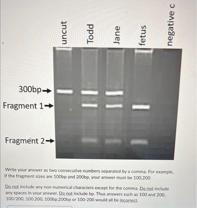 Solved Using The Information From The Agarose Gel As Well As | Chegg.com