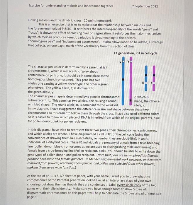 Solved Exercise For Understanding Meiosis And Inheritance | Chegg.com