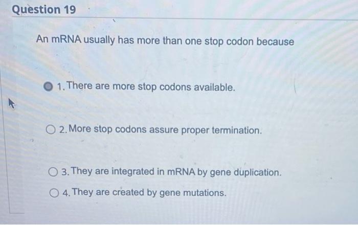 Solved Question 19 An mRNA usually has more than one stop | Chegg.com