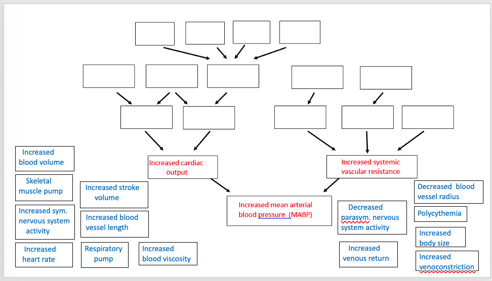 Solved this activity involves a concept map on factors chegg