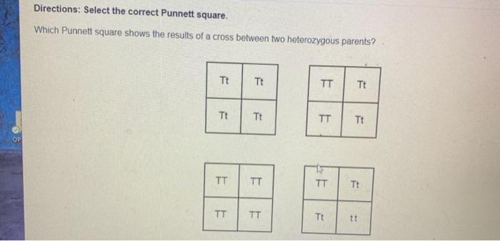 Solved Directions: Select The Correct Punnett Square. Which | Chegg.com