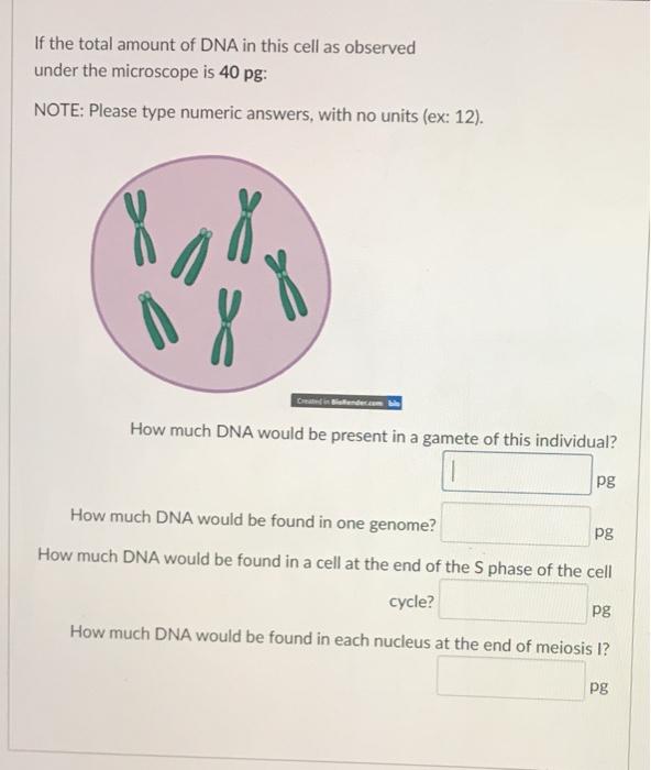 Solved If the total amount of DNA in this cell as observed | Chegg.com