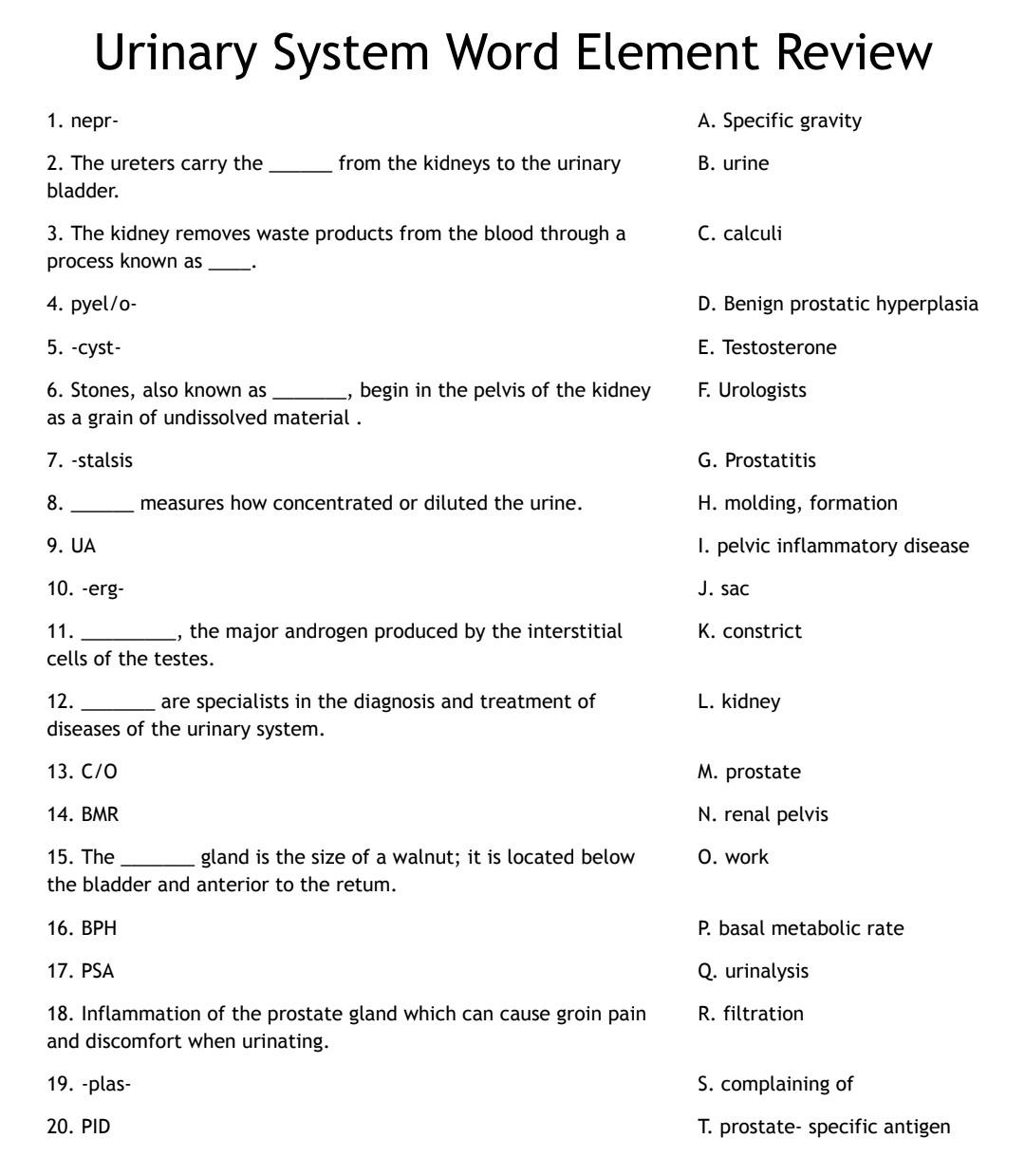 Solved Urinary System Word Element Review 1. nepr- 2. The | Chegg.com