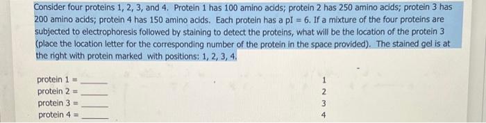 Solved Consider four proteins 1, 2, 3, and 4. Protein 1 has | Chegg.com
