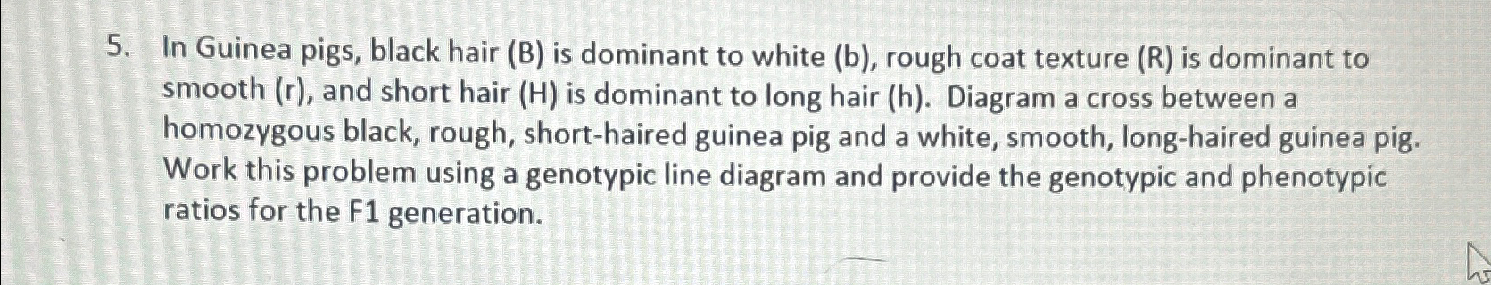 Solved In Guinea Pigs, Black Hair (B) ﻿is Dominant To White | Chegg.com