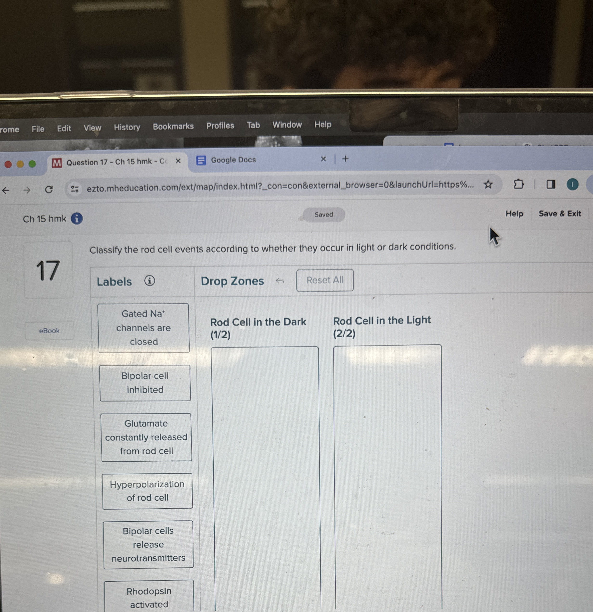Solved 17Classify the rod cell events according to whether | Chegg.com