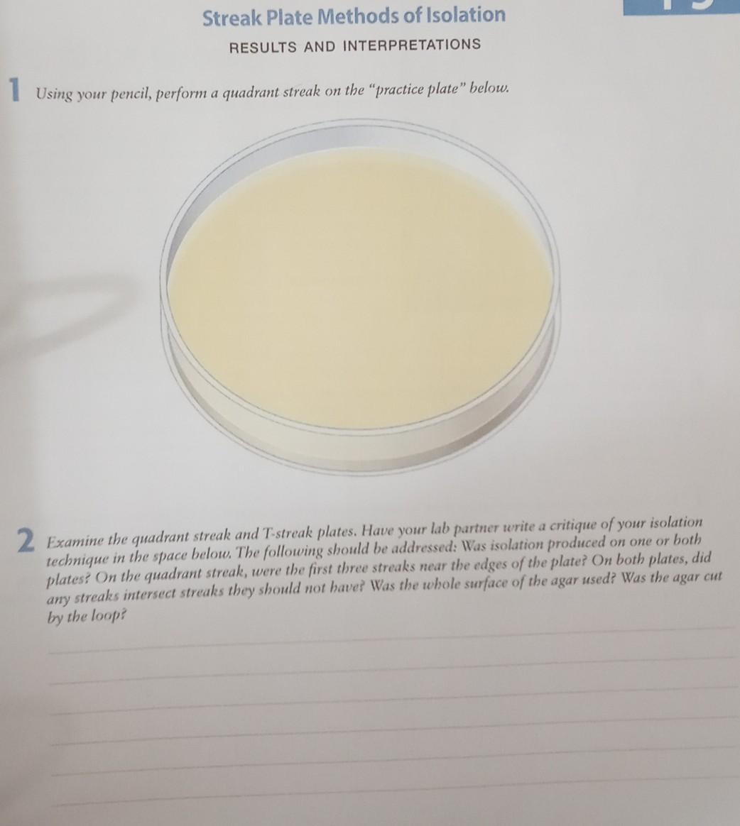 Solved Streak Plate Methods of Isolation RESULTS AND