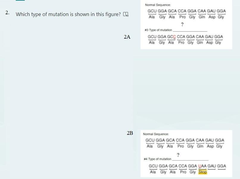 Solved Which Type Of Mutation Is Shown In This Figure Chegg Com