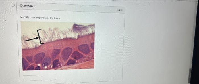 Solved Question 5 1 pts Identify this component of the time | Chegg.com