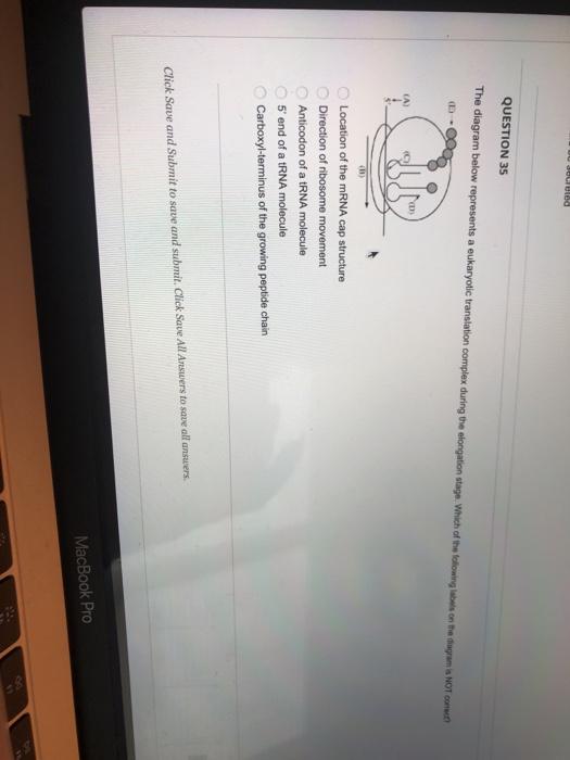 Solved Completion Status: QUESTION 21 Based on the gene and | Chegg.com