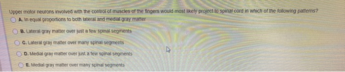 Solved Upper motor neurons involved with the control of | Chegg.com