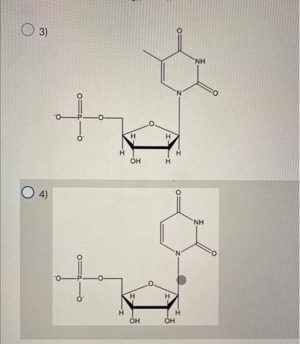 Solved Which of the following is Chegg com