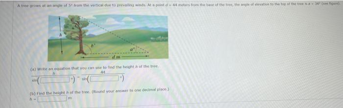 Solved A tree grows at an angle of 5 from the vertical due | Chegg.com