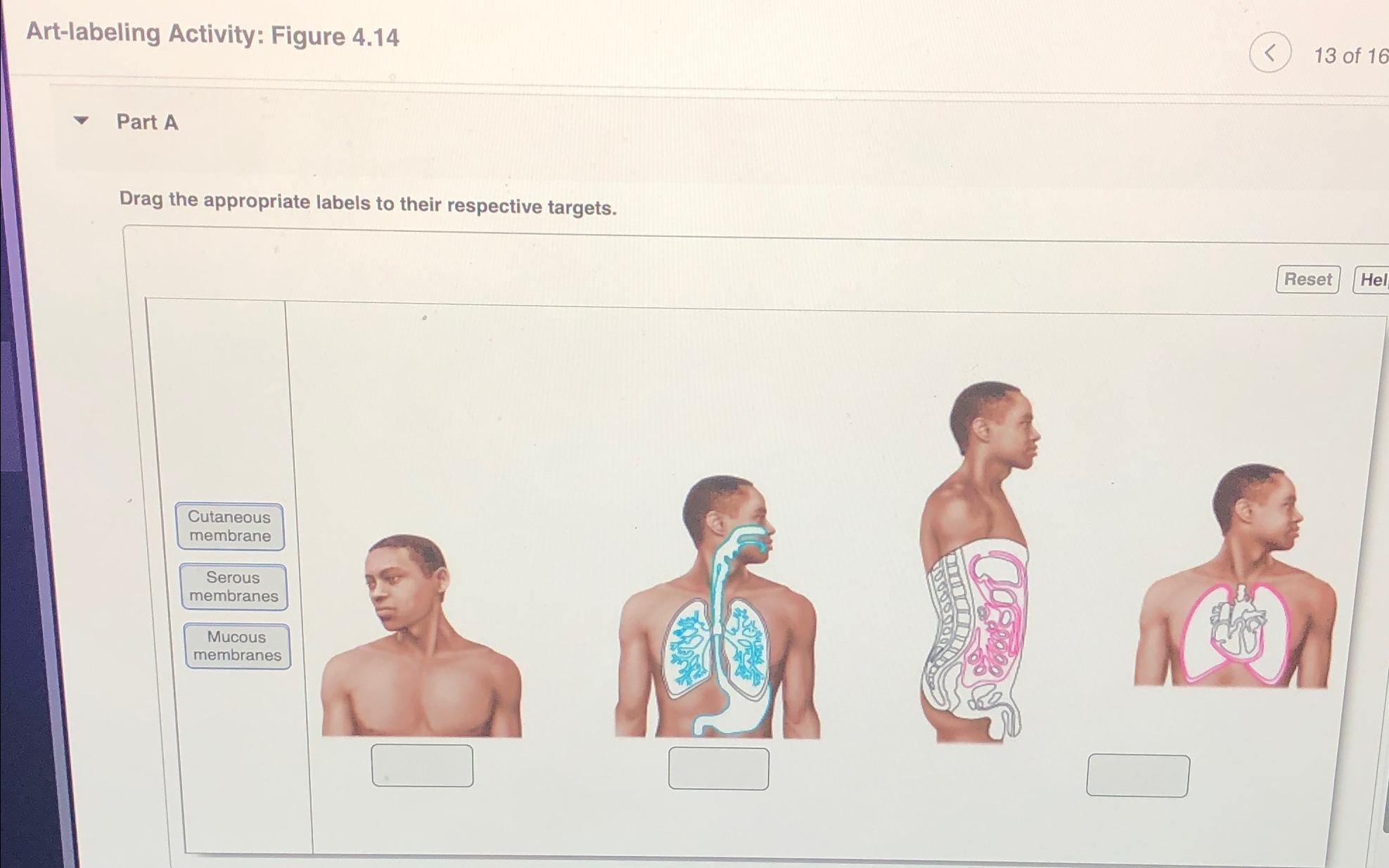 assignment 3.1 image labeling (practice)