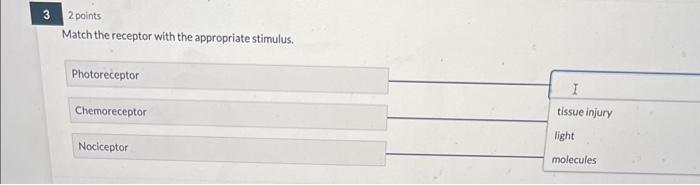 Solved Match the receptor with the appropriate stimulus. | Chegg.com