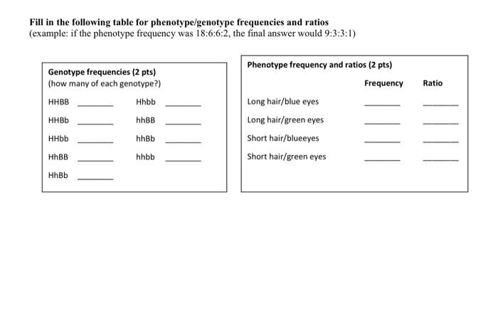 Fill in the following table for phenotype/genotype frequencies and ratios (example: if the phenotype frequency was 18:6:6:2, 