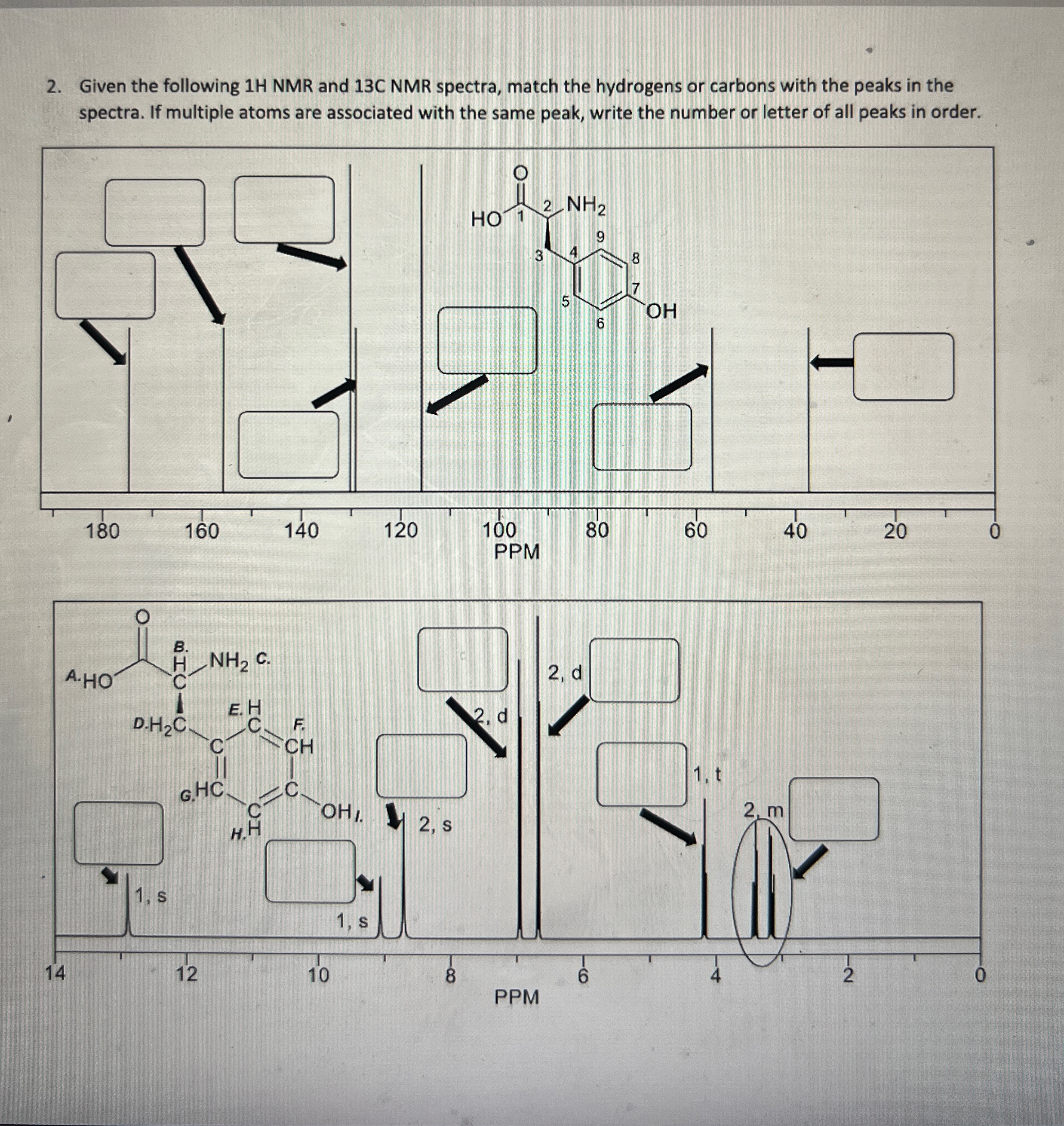 Given the following 1 ﻿HMR and 13C ﻿NMR spectra, | Chegg.com