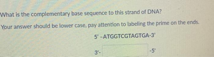 Solved What is the complementary base sequence to this | Chegg.com