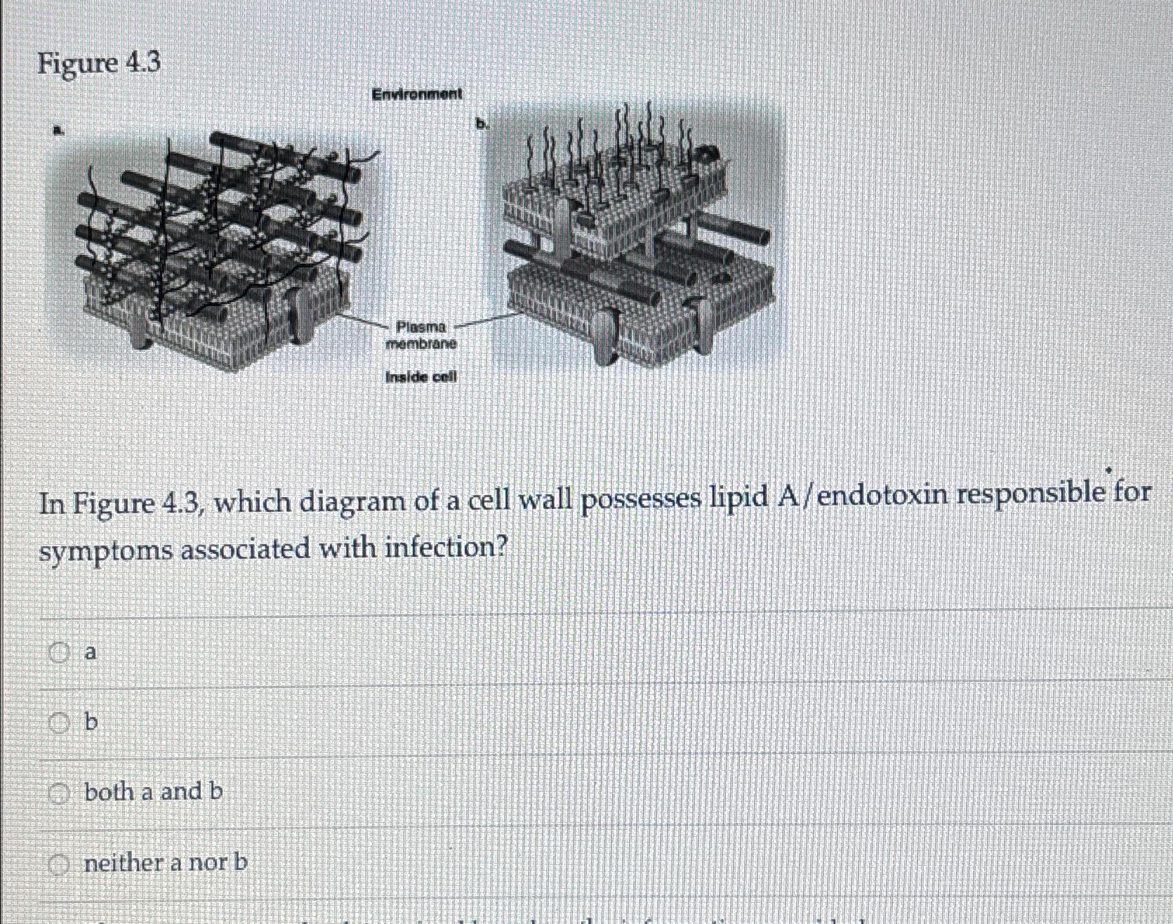 Solved Figure 4.3In Figure 4.3, ﻿which diagram of a cell | Chegg.com