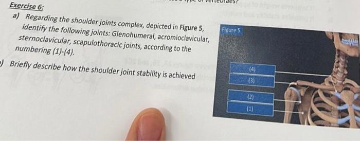 Solved Exercise 6: a) Regarding the shoulder joints complex, | Chegg.com