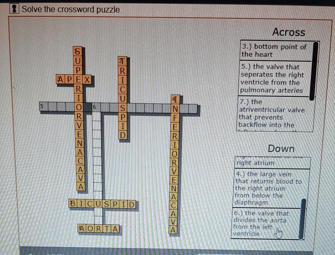 Solved Solve the crossword puzzle. Across U 3.) bottom point