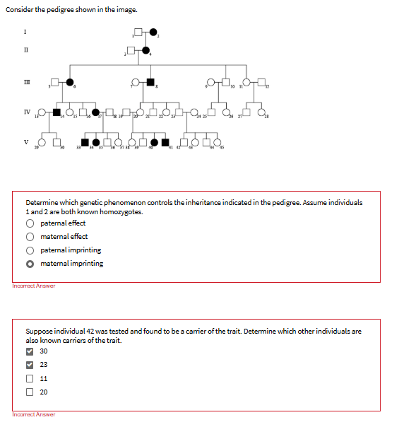 Solved Consider the pedigree shown in the image. ``` | Chegg.com