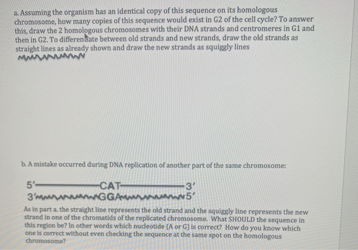 Solved 6. Imagine the DNA sequence shown above in Qu. 5 is | Chegg.com