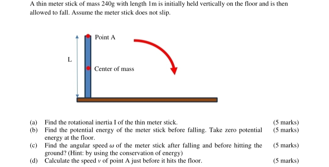 Solved A thin meter stick of mass 240 ﻿g with length 1 ﻿m is | Chegg.com