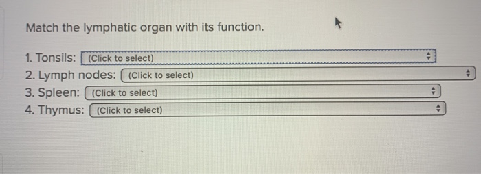 Match Each Lymphatic Cell With Its Function Solved Match the lymphatic organ with its function. 1. | Chegg.com