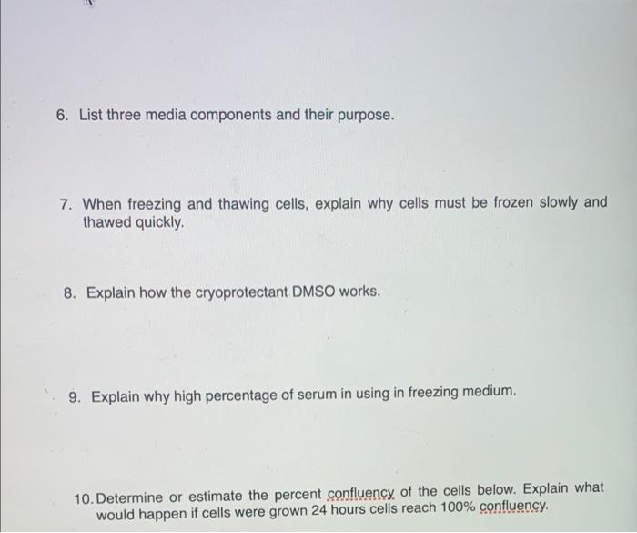 Solved 6. List three media components and their purpose. 7. | Chegg.com
