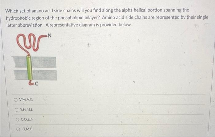 Solved Which set of amino acid side chains will you find | Chegg.com