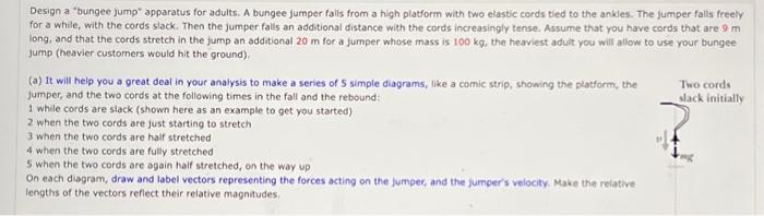 Solved Design A "bungee Jump" Apparatus For Adults. A Bungee | Chegg.com