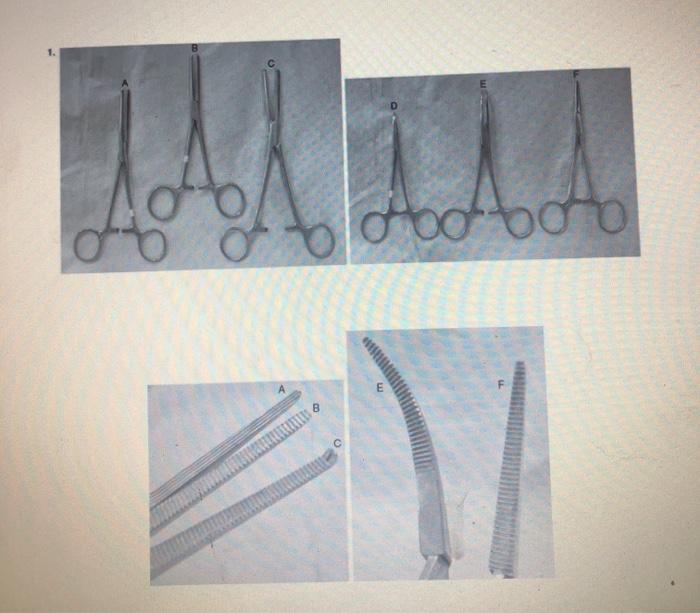 © EXERCISE 32.5 PHOTO QUIZ 2 SURGICAL INSTRUMENTS