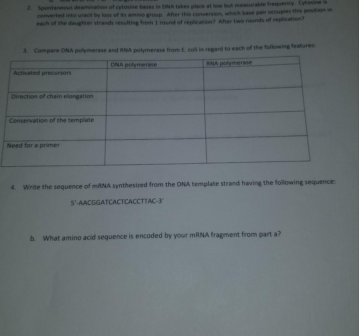 Solved 2. Spontaneous deamination of cytosine bases in DNA | Chegg.com