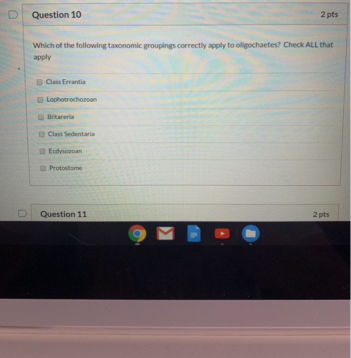 Solved D. Question 10 2 pts Which of the following taxonomic | Chegg.com