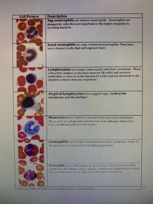 Solved Page 1 of 5 0 ZOOM + Case Study (Blood) Blood is | Chegg.com