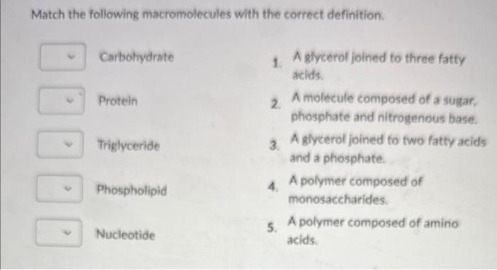 which of the following macromolecules is not a carbohydrate