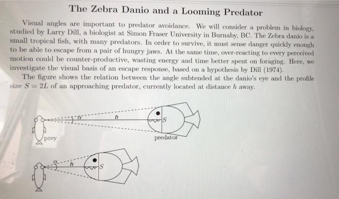 Solved The Zebra Danio and a Looming Predator Visual angles | Chegg.com